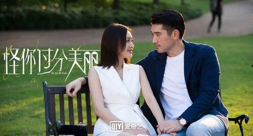 娱乐圈吃瓜博主双人小说,吃瓜博主的双人甜蜜冒险